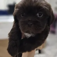 processed/3a3e6011-cdd1-4dee-9939-8dada257e86b/facility/d963f9da-a739-46df-a38e-7716a26215c9