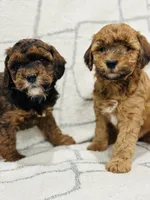 processed/3a3fc94d-aec2-49b2-b79e-cffe8ec84216/listing/3a4ece7f-9751-4907-863f-61f882ea4c0d/6f51fbe7-ecc5-4ab5-bd42-a7b26102d106