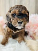 processed/3a3fc94d-aec2-49b2-b79e-cffe8ec84216/listing/a6e55294-028f-4964-b200-e4df3e2901d2/47328fe8-fa76-4e09-b7dd-60fa8ae98607