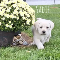 processed/3a403b79-d2ae-4d6f-89e0-6d7779bd1c1a/facility/9243b096-572d-463f-9c65-fcb35c3c14a9