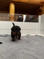 processed/3a43bfa1-fd87-4d84-a352-9bd76aad862e/listing/3bf1dde5-5651-4822-936f-c65067cc4f0f/52bf7945-21e4-4400-b7db-f0974609b047