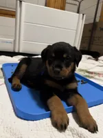 processed/3a43bfa1-fd87-4d84-a352-9bd76aad862e/listing/3bf1dde5-5651-4822-936f-c65067cc4f0f/8a6f101e-c6eb-4e5e-b540-ca3917a0c243