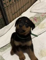 processed/3a43bfa1-fd87-4d84-a352-9bd76aad862e/listing/6ff7dbce-269a-41cd-b6ca-ecf6c431419c/1e0423bf-0545-4950-9f23-757cd901dc19