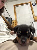 processed/3a43bfa1-fd87-4d84-a352-9bd76aad862e/listing/e53e4d0b-3476-4daf-b2e8-d4fea2d3b6ad/4cab2e6b-4f71-434e-8c20-5689a2580ee7