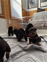 processed/3a43bfa1-fd87-4d84-a352-9bd76aad862e/listing/e53e4d0b-3476-4daf-b2e8-d4fea2d3b6ad/86749fca-9d7a-4dab-86ee-b4922bf6f2a7