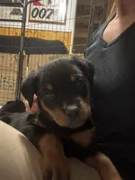 processed/3a43bfa1-fd87-4d84-a352-9bd76aad862e/listing/e53e4d0b-3476-4daf-b2e8-d4fea2d3b6ad/ea69dec4-0d70-42d5-8233-bd0557637a91