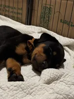 processed/3a43bfa1-fd87-4d84-a352-9bd76aad862e/listing/f247746f-f62a-41bb-a3c6-50dd6ff9f268/a4abc5db-c913-4588-a748-c0fa4b63f139