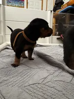 processed/3a43bfa1-fd87-4d84-a352-9bd76aad862e/listing/f247746f-f62a-41bb-a3c6-50dd6ff9f268/f027793f-d6f6-4c68-92b2-ee2b47f99c7c