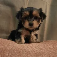 processed/3a45ebbf-6d23-4f8e-8703-048150be4a70/facility/1eb03e9c-7734-4c31-8000-27eb6e448350