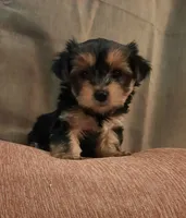 processed/3a45ebbf-6d23-4f8e-8703-048150be4a70/facility/1eb03e9c-7734-4c31-8000-27eb6e448350