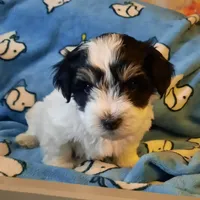 processed/3a45ebbf-6d23-4f8e-8703-048150be4a70/facility/47086440-b7a3-4d21-a1ce-391512764c2b