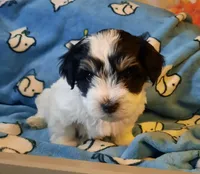 processed/3a45ebbf-6d23-4f8e-8703-048150be4a70/facility/47086440-b7a3-4d21-a1ce-391512764c2b