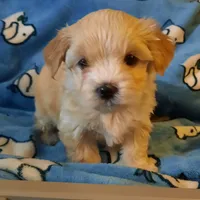 processed/3a45ebbf-6d23-4f8e-8703-048150be4a70/facility/690bf3ad-13a0-47e1-b9f9-226d88a08244