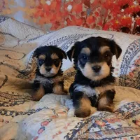 processed/3a45ebbf-6d23-4f8e-8703-048150be4a70/facility/7e65b912-e425-4e22-8643-29a75252ffa6