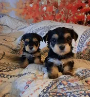 processed/3a45ebbf-6d23-4f8e-8703-048150be4a70/facility/7e65b912-e425-4e22-8643-29a75252ffa6