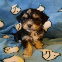 processed/3a45ebbf-6d23-4f8e-8703-048150be4a70/facility/903f1775-ee79-43d0-8503-1417122d3e15