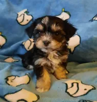 processed/3a45ebbf-6d23-4f8e-8703-048150be4a70/facility/903f1775-ee79-43d0-8503-1417122d3e15