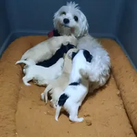 processed/3a45ebbf-6d23-4f8e-8703-048150be4a70/facility/b59055b8-0cba-43e1-a0f7-c9e5321aa7f7