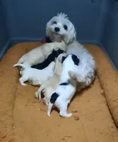 processed/3a45ebbf-6d23-4f8e-8703-048150be4a70/facility/b59055b8-0cba-43e1-a0f7-c9e5321aa7f7