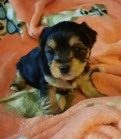 processed/3a45ebbf-6d23-4f8e-8703-048150be4a70/facility/b9d285b7-cb9d-413e-aa30-5e4622fa6ae4