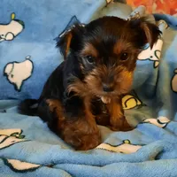 processed/3a45ebbf-6d23-4f8e-8703-048150be4a70/facility/fc828698-1f8e-4021-ad6f-98f024a576ed