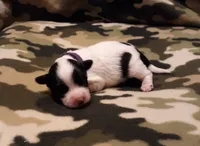 processed/3a45ebbf-6d23-4f8e-8703-048150be4a70/listing/3b61123c-c496-4384-8d00-687fb1146e8d/0651e74d-a848-4b97-85c7-6b34bce47f66