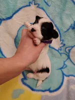 processed/3a45ebbf-6d23-4f8e-8703-048150be4a70/listing/3b61123c-c496-4384-8d00-687fb1146e8d/b30a3ba3-3b06-4e60-8abe-4ce641e7230c