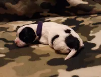 processed/3a45ebbf-6d23-4f8e-8703-048150be4a70/listing/3b61123c-c496-4384-8d00-687fb1146e8d/c6e0a0e1-68ee-4477-acad-980cb3547c57