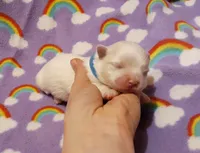 processed/3a45ebbf-6d23-4f8e-8703-048150be4a70/listing/61ed6fc9-dec4-43d4-a08e-3d1edb4d9b1b/986426d3-e295-4838-b98d-c852dbf56368