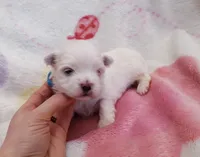 processed/3a45ebbf-6d23-4f8e-8703-048150be4a70/listing/61ed6fc9-dec4-43d4-a08e-3d1edb4d9b1b/9f8b6525-8331-41ab-852c-cc346e72a4dd