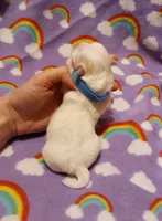 processed/3a45ebbf-6d23-4f8e-8703-048150be4a70/listing/61ed6fc9-dec4-43d4-a08e-3d1edb4d9b1b/e34bcd75-3ac5-44c4-8c8c-2cc6363bde24