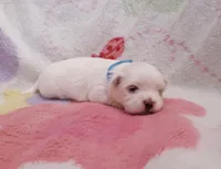 processed/3a45ebbf-6d23-4f8e-8703-048150be4a70/listing/61ed6fc9-dec4-43d4-a08e-3d1edb4d9b1b/f9415069-9a1c-45f8-a0cf-b646cc5f77ca