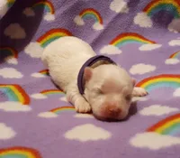 processed/3a45ebbf-6d23-4f8e-8703-048150be4a70/listing/e1b1ceb4-8ea8-4b47-8054-34950db21169/2484f843-3773-43aa-9736-107e6ee43f75