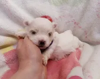 processed/3a45ebbf-6d23-4f8e-8703-048150be4a70/listing/e1b1ceb4-8ea8-4b47-8054-34950db21169/870590fd-f88a-41e2-b2e3-5de2840033dc