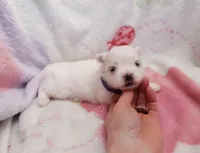 processed/3a45ebbf-6d23-4f8e-8703-048150be4a70/listing/e1b1ceb4-8ea8-4b47-8054-34950db21169/9471d37b-bca4-4db1-96d7-fad004868b5f