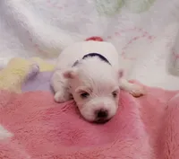 processed/3a45ebbf-6d23-4f8e-8703-048150be4a70/listing/e1b1ceb4-8ea8-4b47-8054-34950db21169/e585e7b4-cfbd-42d4-a701-b6c72ff8a6f6