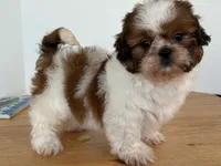 processed/3a46874c-ca77-4246-a351-690f0d61eb52/listing/da457356-9375-4991-9d6f-7ed0f459b4c9/05b67c78-9dff-46bc-8ece-0f3906f77e4a