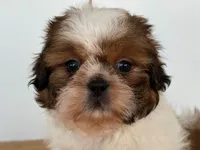 processed/3a46874c-ca77-4246-a351-690f0d61eb52/listing/da457356-9375-4991-9d6f-7ed0f459b4c9/36ed75a2-e7db-4e01-a319-30bf0a18646d