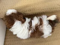 processed/3a46874c-ca77-4246-a351-690f0d61eb52/listing/da457356-9375-4991-9d6f-7ed0f459b4c9/42f33c65-f6af-4609-b648-bee0bd0ee8f9