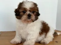 processed/3a46874c-ca77-4246-a351-690f0d61eb52/listing/da457356-9375-4991-9d6f-7ed0f459b4c9/48efa678-4c93-4b79-99fb-48ab2cba7496