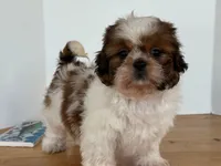 processed/3a46874c-ca77-4246-a351-690f0d61eb52/listing/da457356-9375-4991-9d6f-7ed0f459b4c9/80deb813-5b71-494a-a6a3-6502bf0337da