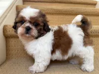 processed/3a46874c-ca77-4246-a351-690f0d61eb52/listing/da457356-9375-4991-9d6f-7ed0f459b4c9/bfb7c689-84f8-481d-96b5-e561ef22129c