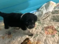 processed/3a511c70-5811-43fd-b5cf-2d505be93d56/listing/9f7e2c9c-c264-47a9-8bc8-eb8b40848783/3620bbd6-57d6-45bb-ae39-c4bd4404aef4