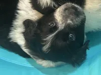 processed/3a511c70-5811-43fd-b5cf-2d505be93d56/listing/9f7e2c9c-c264-47a9-8bc8-eb8b40848783/553b371e-8c3b-4c1f-a3a6-eb11bfe8dba5