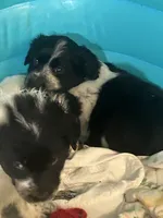 processed/3a511c70-5811-43fd-b5cf-2d505be93d56/listing/9f7e2c9c-c264-47a9-8bc8-eb8b40848783/a00fc9b6-62b8-4b43-9cbc-479e294c1d6b