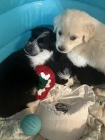 processed/3a511c70-5811-43fd-b5cf-2d505be93d56/listing/9f7e2c9c-c264-47a9-8bc8-eb8b40848783/f53b2ae4-825c-46f6-be23-498180acb977