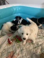 processed/3a511c70-5811-43fd-b5cf-2d505be93d56/listing/ab397ff0-f095-4048-8a89-4751a10e3bb8/2ecb04e0-5572-4a0e-a8db-8b4e2075b38f