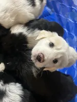 processed/3a511c70-5811-43fd-b5cf-2d505be93d56/listing/ab397ff0-f095-4048-8a89-4751a10e3bb8/7119873b-ad93-41ee-89fa-9b4d9633a837