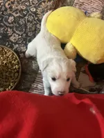 processed/3a511c70-5811-43fd-b5cf-2d505be93d56/listing/ab397ff0-f095-4048-8a89-4751a10e3bb8/c3362274-bc3f-4fac-a2f2-02f268984500