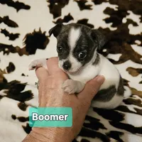 processed/3a5190c5-84f5-4d6b-acec-8c3aa3342220/listing/9776692a-b584-43de-a192-08fdb63ac5f1/ada4f77b-95ab-4574-abba-c3d36fc13bd5